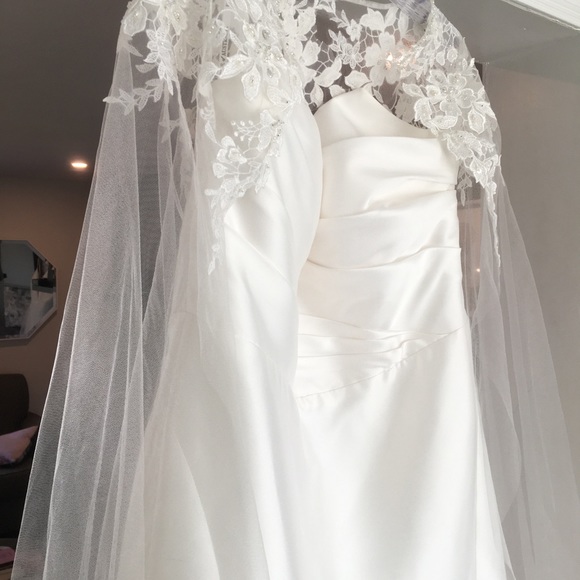 Essence of Australia plus size D3340 - Picture 8 of 12